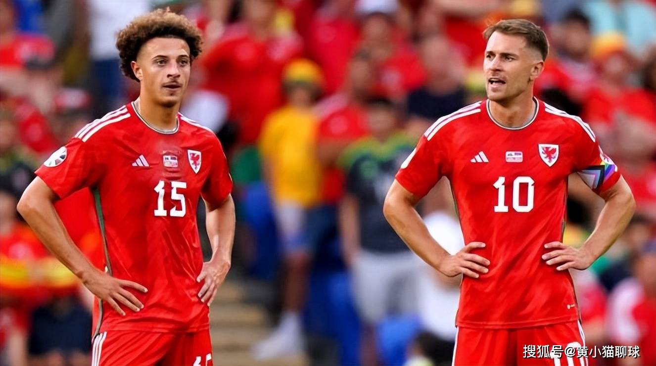 九游体育-瑞士国家队在对阵丹麦队比赛中掀起绝地反击的简单介绍