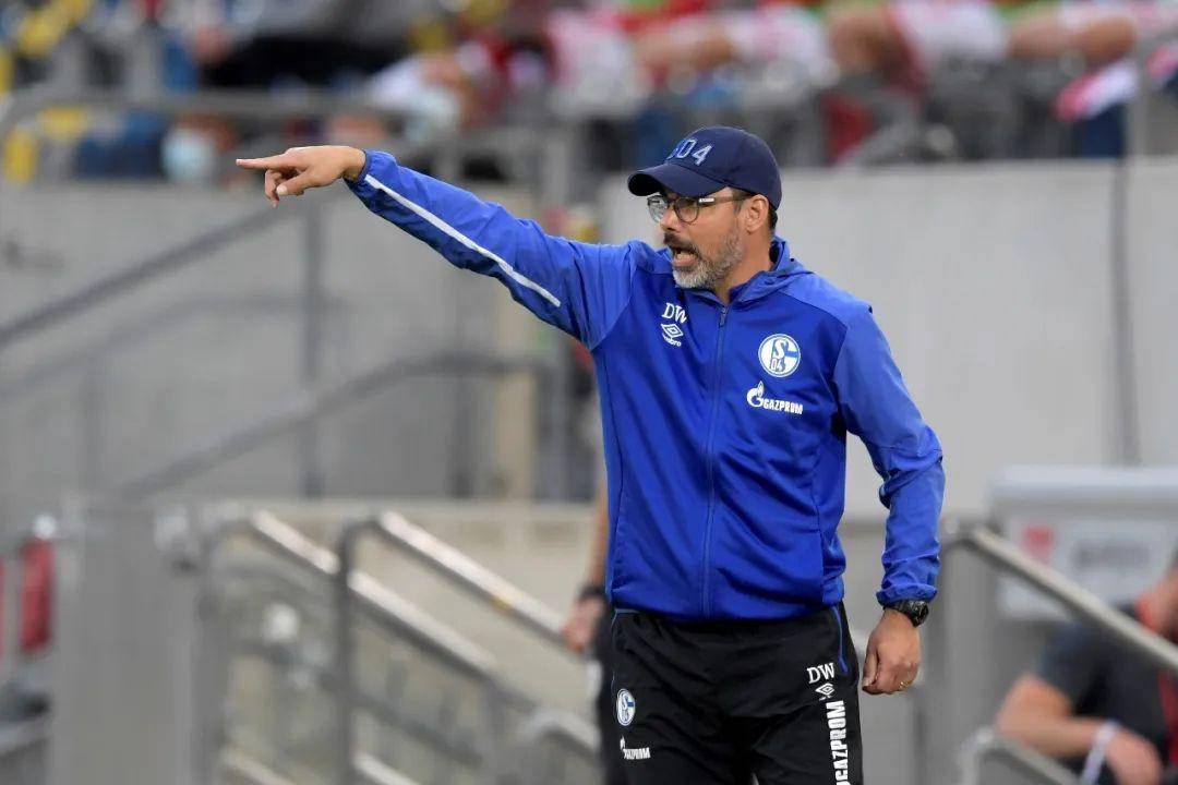 九游体育官方入口-沙尔克主场失利，连续两轮遭遇颓势的简单介绍