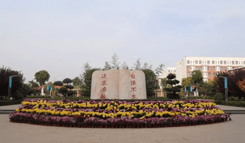 九游体育官网入口-包含河南北大继续不败，云南飞虎难以扳平比分的词条