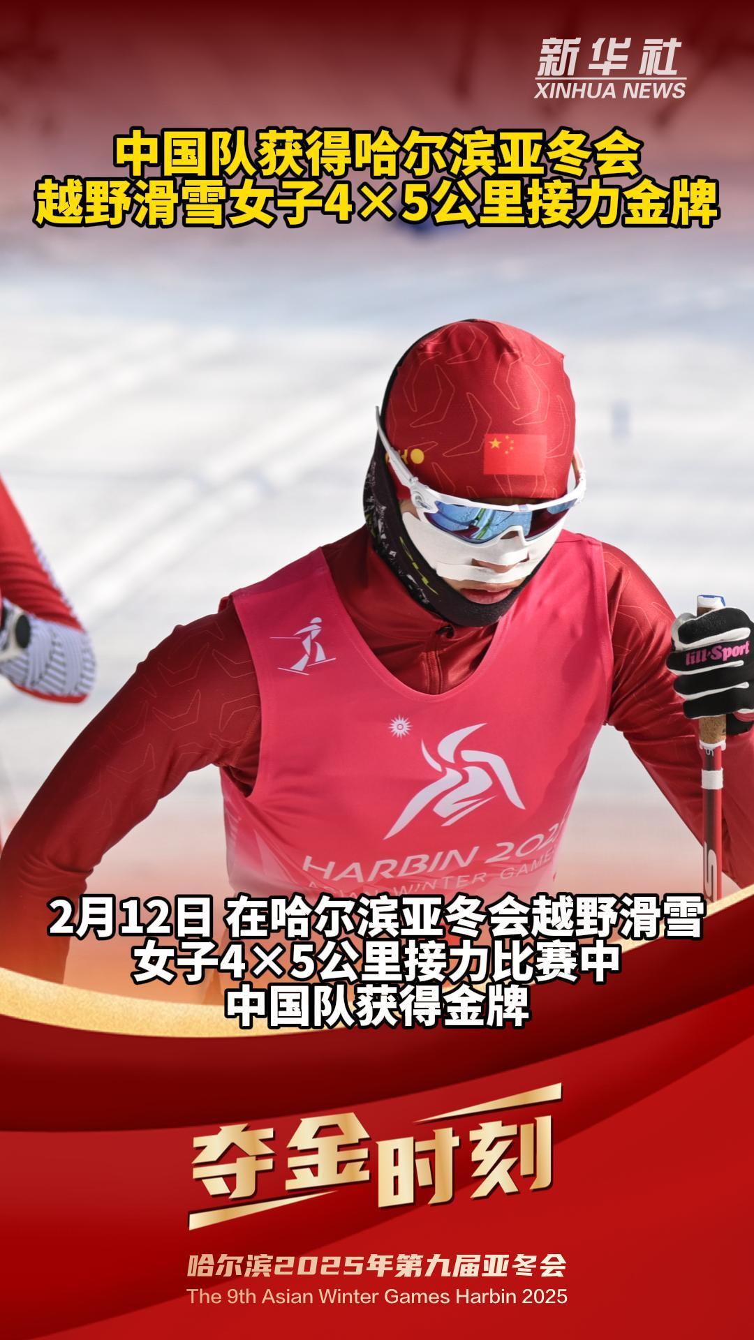 九游体育-奥地利滑雪选手勇夺金牌，实现再次突破