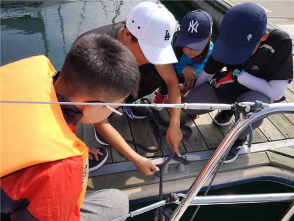 战术布局精妙揭示教练智谋高招